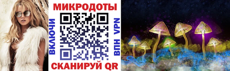 Галлюциногенные грибы Psilocybe Купить где Бабаево